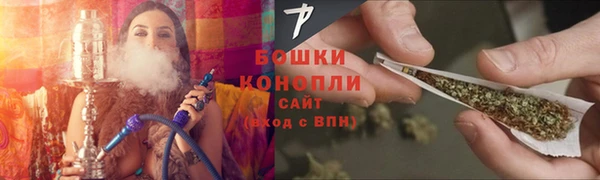 индика Магадан