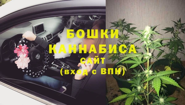 индика Магадан