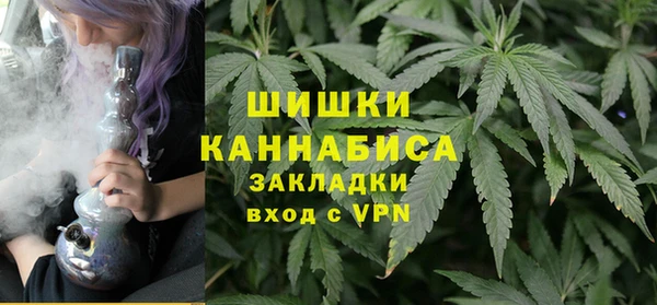 хмурый Лиски