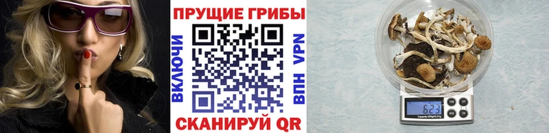 Псилоцибиновые грибы MAGIC MUSHROOMS  Нижний Новгород 